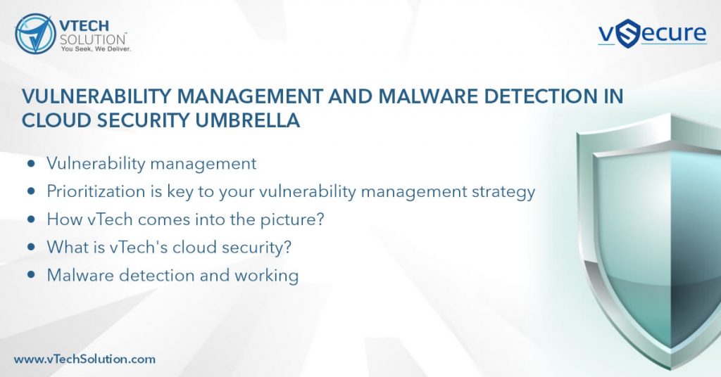 Vulnerability Management and Malware Detection in Cloud Security